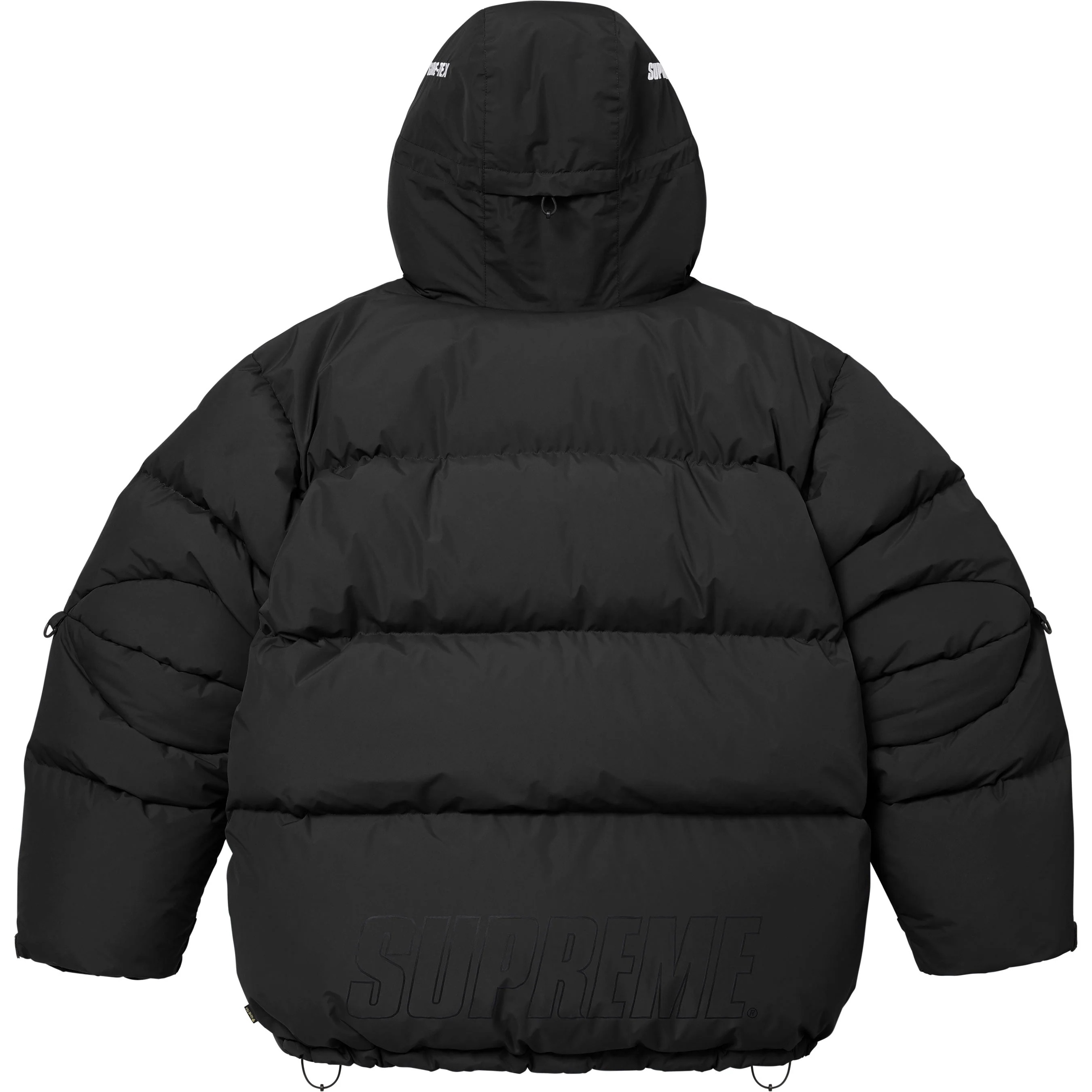 GORE-TEX 900-Fill Down Parka view 15
